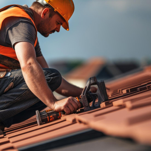 Démoussage et nettoyage de toiture en Charente